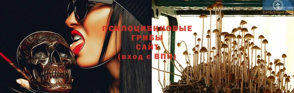 ешки Алексеевка