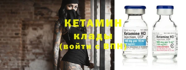 шишки Слюдянка